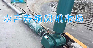 水產(chǎn)養(yǎng)殖增氧羅茨風機市場尋找與分析