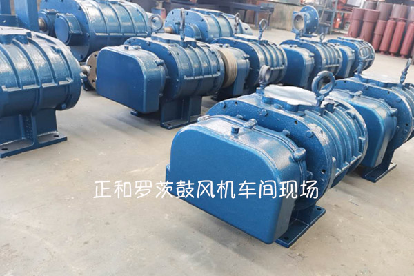 正和羅茨鼓風(fēng)機(jī)車間現(xiàn)場(chǎng)