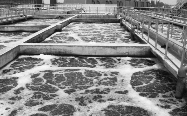 污水廠羅茨風(fēng)機(jī)曝氣