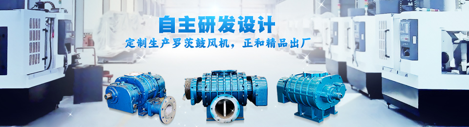 羅茨鼓風(fēng)機(jī)