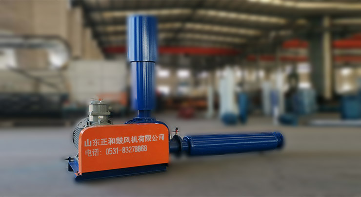正和SZR系列羅茨鼓風(fēng)機